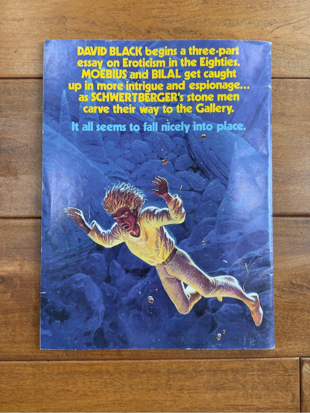 Heavy Metal Magazine - Purple Cover (May 1982) - Picture 8 of 9